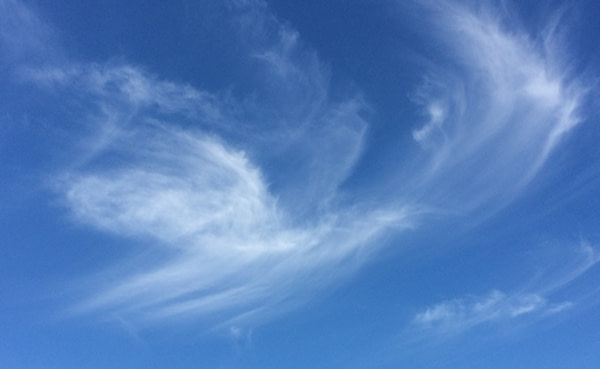 Hypnotherapy for Specific Goals - 30 Minutes